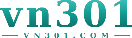 vn301 logo